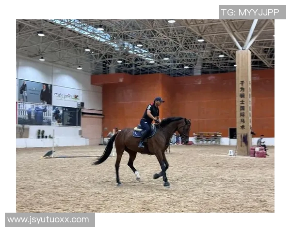 东北马联马术总决赛落位长春净月 高端赛事激活体旅交融新动能